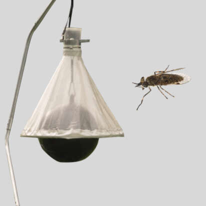 bremsenfalle bubblenavibanner